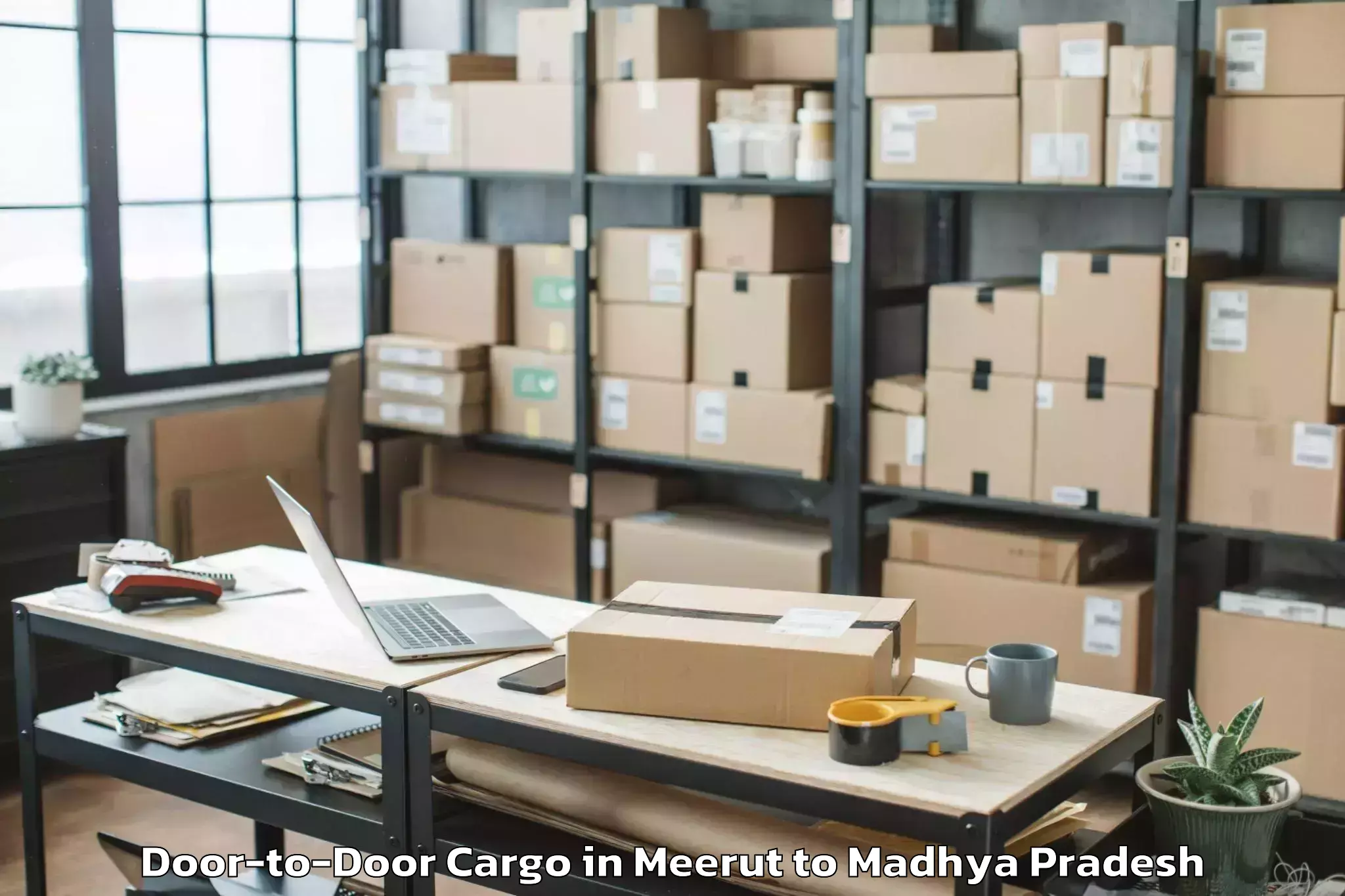 Top Meerut to Pachore Door To Door Cargo Available